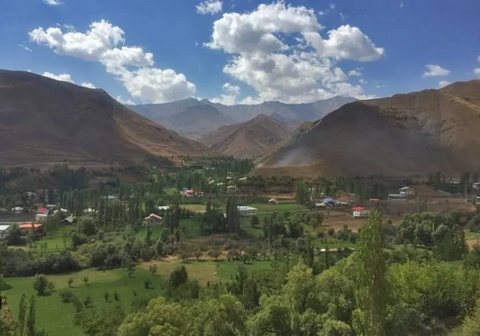 اردوی علمی-فرهنگی: آشنایی با گیاهان دارویی البرز مرکزی منطقه یوش و بلده 